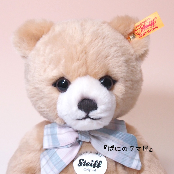 シュタイフ社ペッツィベア2(PESTY Teddy bear)